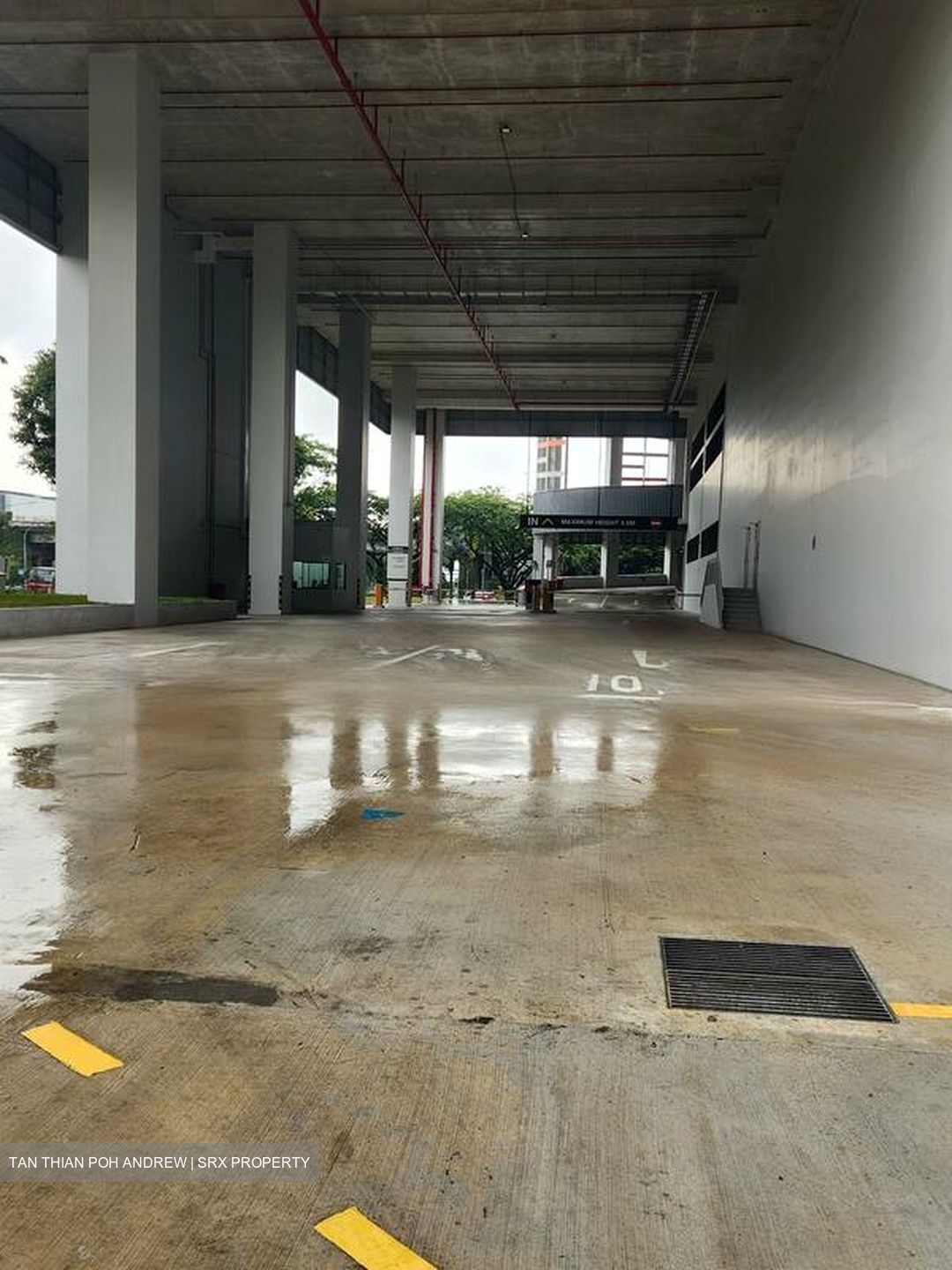 International Road (D22), Warehouse #484123951